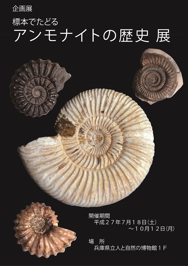 標本でたどる アンモナイトの歴史展 | 見どころ・チケット・口コミ