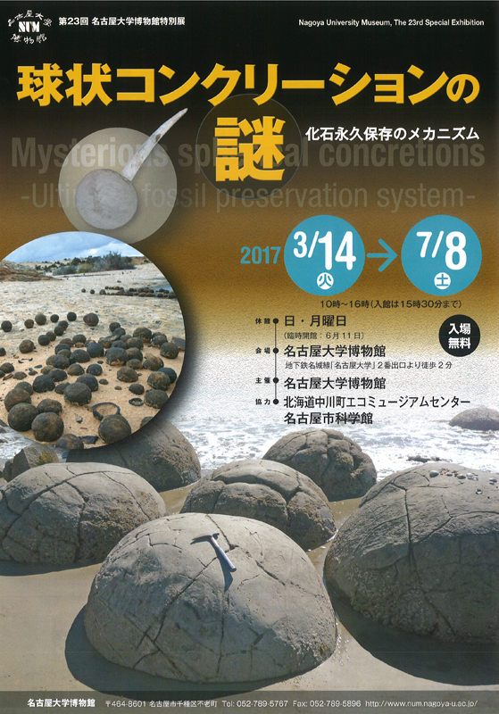 球状コンクリーションの謎 - 化石永久保存のメカニズム | 展覧会