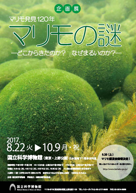︎︎☁ マリモEXページ マリモ発見120年「マリモの謎―どこからきたのか？ なぜまるいのか