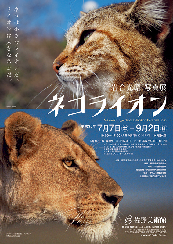岩合光昭写真展「ネコライオン」 | 見どころ・チケット・口コミ