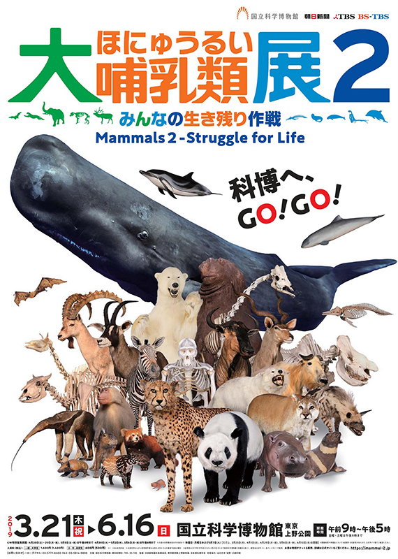 特別展 大哺乳類展2 ― みんなの生き残り作戦 | 見どころ・チケット