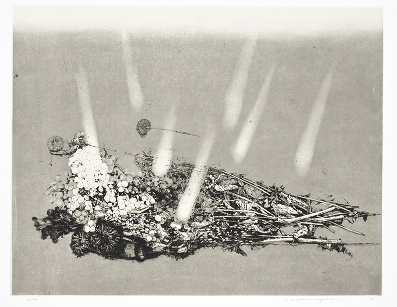 中林忠良【転位‘  86地１】銅版画 中林忠良【転位' 86地1】銅版画