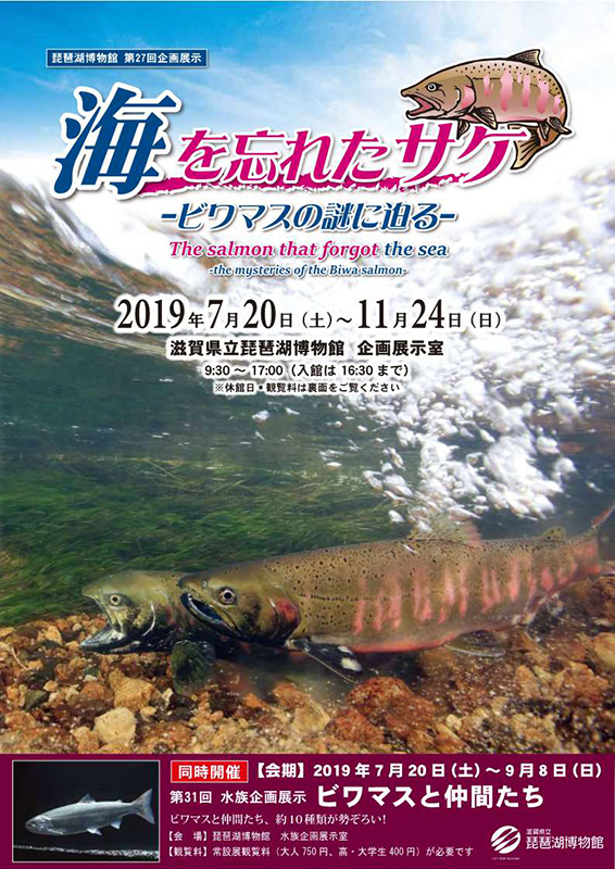 企画展示 海を忘れたサケ ビワマスの謎に迫る 展覧会 アイエム インターネットミュージアム