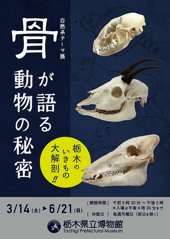 骨が語る動物の秘密 | 見どころ・チケット・口コミ | アイエム