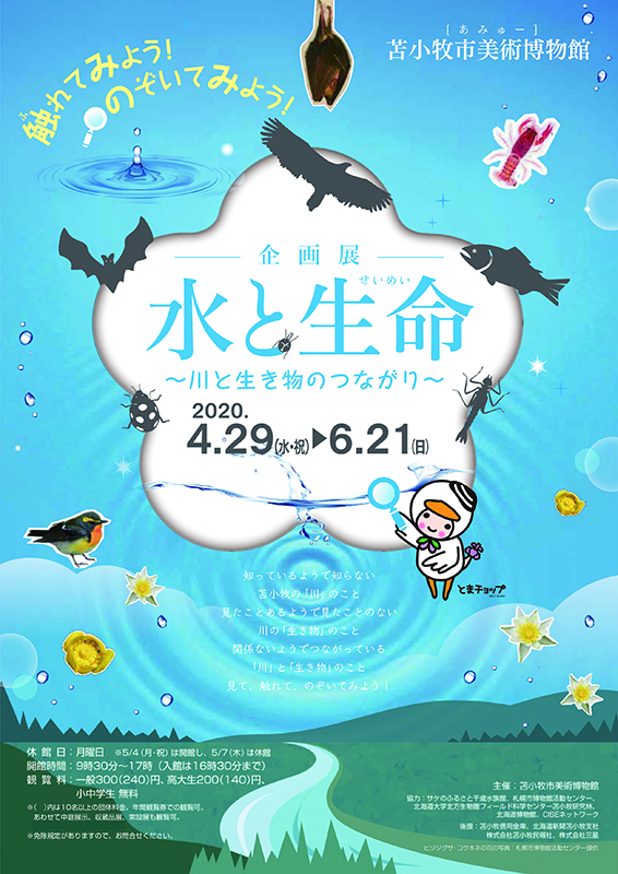「水と生命～川と生き物のつながり～」 展覧会 アイエム[インターネットミュージアム]