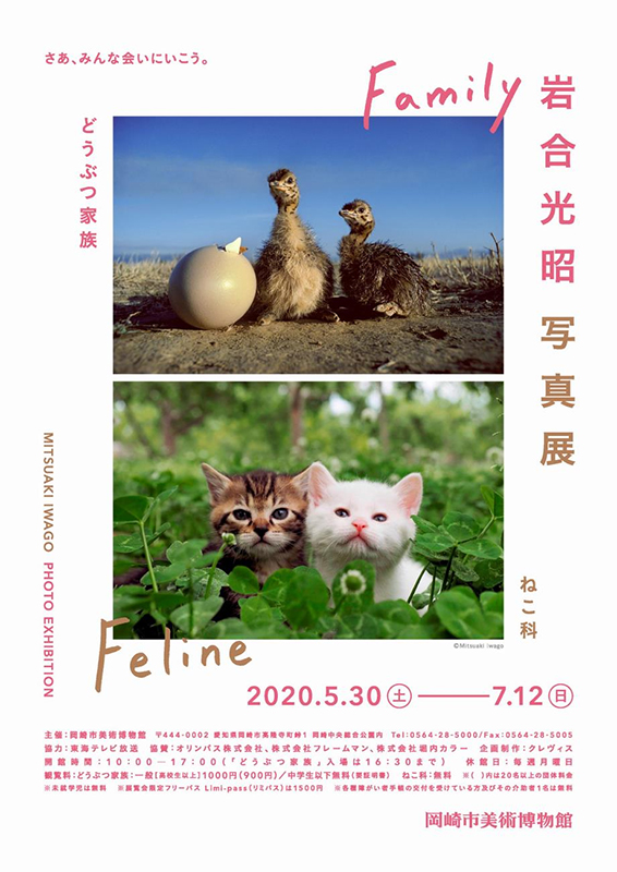 岩合光昭写真展　どうぶつ家族／ねこ科