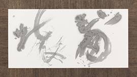 手島右卿　北京展記念作品集 市民ギャラリー特別展「『象書』を極める 手島右卿、山崎大抱、戸田提