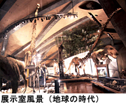 群馬県立自然史博物館 | 展覧会スケジュール・アクセス・料金 | アイエム[インターネットミュージアム]