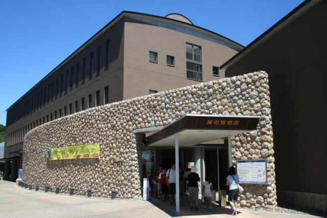 千葉県立中央博物館分館 海の博物館 館画像