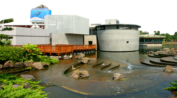 にょろにょろ展