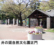 「ようこそデザニャーレ-東京どうぶつえん すいぞくえんデザイン室-」