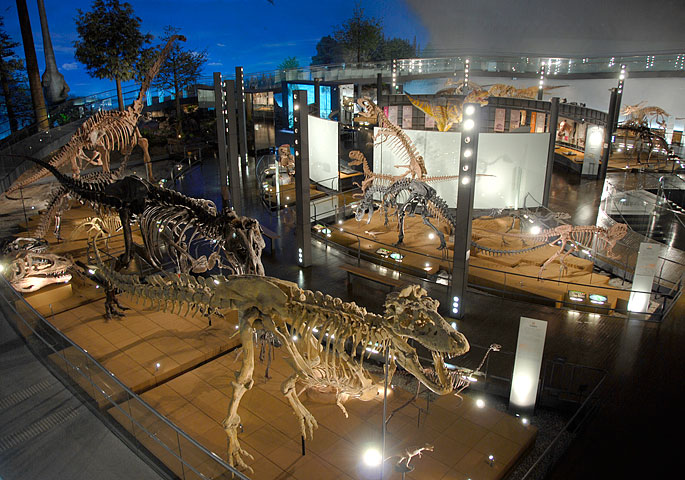 特別展「獣脚類2025～『フクイ』から探る恐竜の進化～」