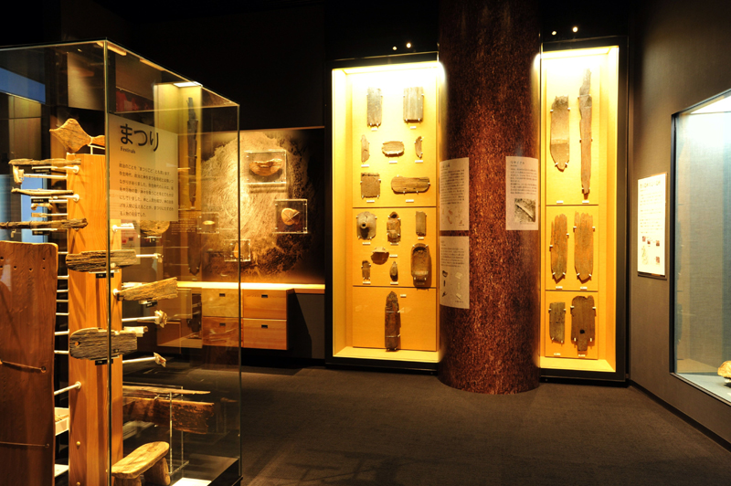 登呂博物館特別展　「静岡に眠る弥生時代の開拓者」