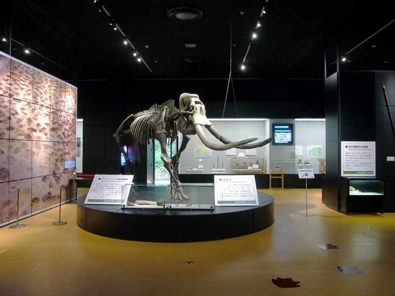 新指定文化財展