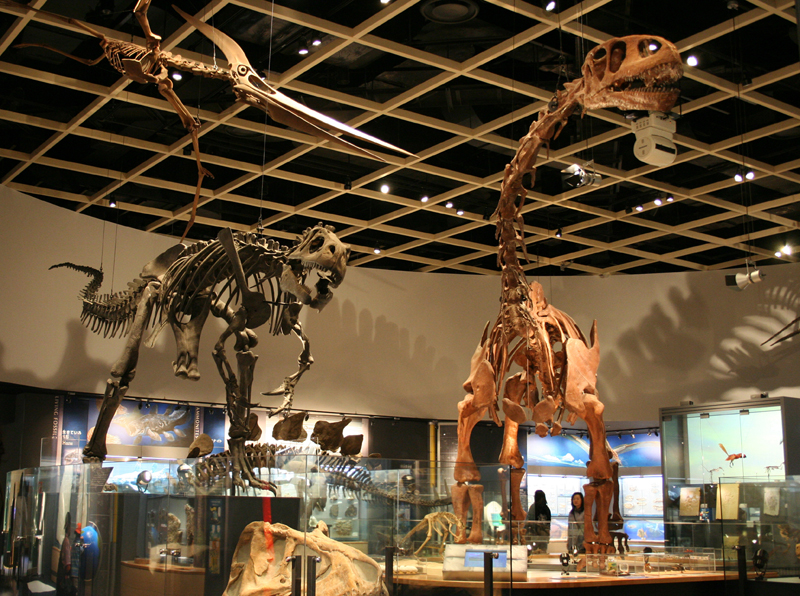 第34回特別企画展「深海の玉手箱」