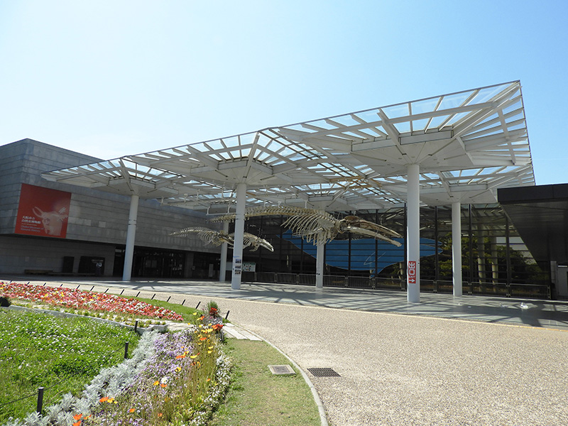 テーマ展示「田中秀介展:絵をくぐる 大阪市立自然史博物館」