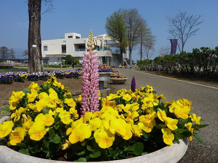 宮崎県農業科学公園（ルピナスパーク）　農業科学館