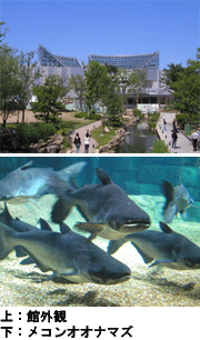 世界淡水魚園水族館「第5回春の写生大会」