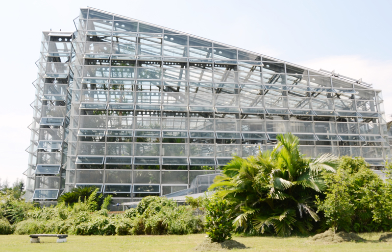 秋のランフェア【洋ラン展・寒蘭展】