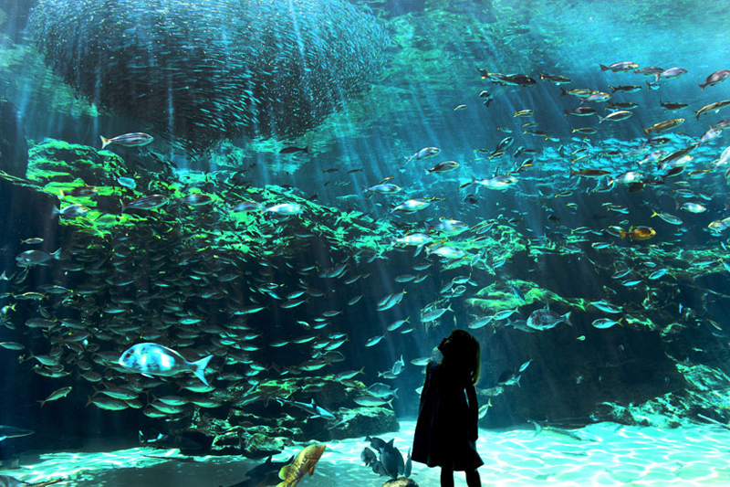 西海国立公園九十九島水族館「海きらら」