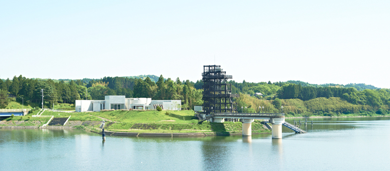 戸谷成雄　森―湖：再生と記憶