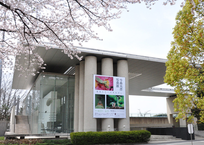 茂手木秀行星景写真展　僕が眠るための夢