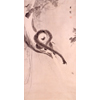 《枯木猿猴図》
