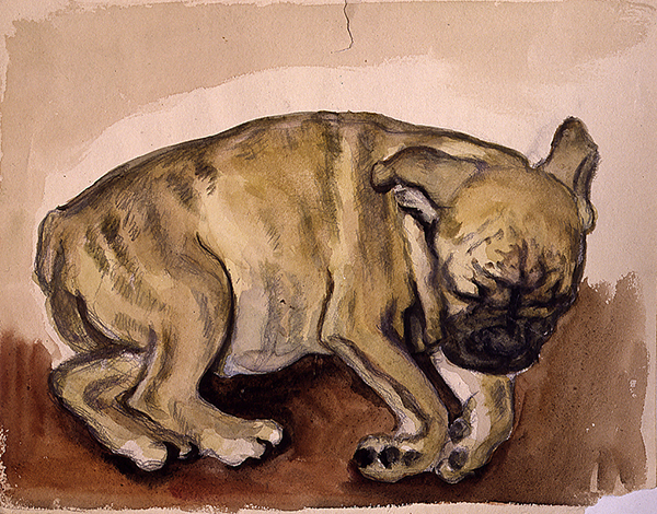 《ブルドッグ》