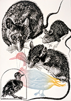 《「狙いをつける」Targeting》