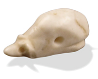 《護符（アミュレット）》