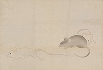 《光琳画譜 （こうりんがふ）》