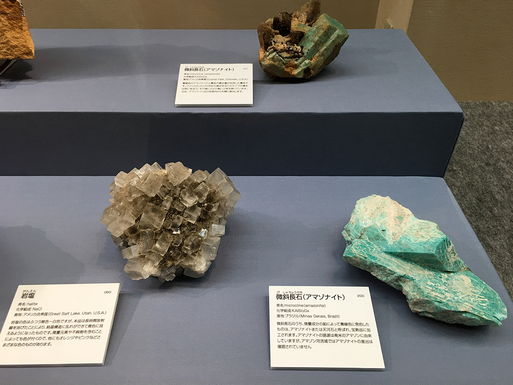 大阪市立自然史博物館 石は地球のワンダー レポート アイエム インターネットミュージアム