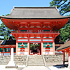 日御碕神社と経島(ふみしま)のウミネコ