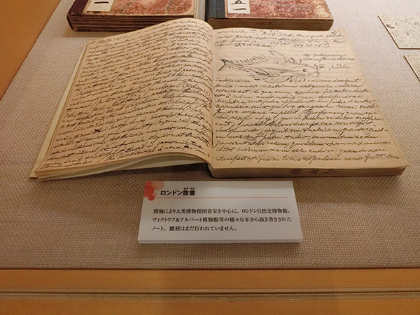☆ 生物系粘菌学を学ぶ人向け稀少本南方熊楠菌誌二冊と粘菌驚くべき生命力の謎