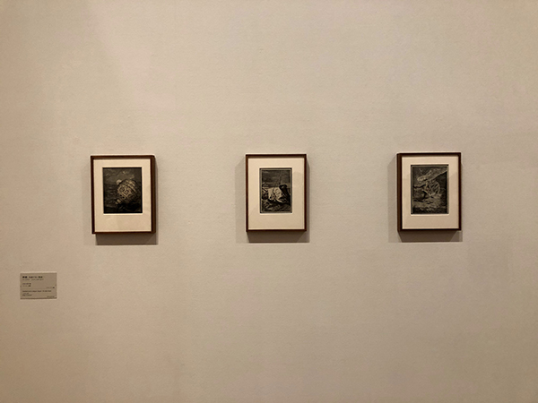 DIC川村記念美術館「ジョゼフ・コーネル コラージュ