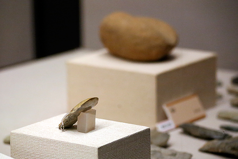 発掘された日本列島2014　日本発掘