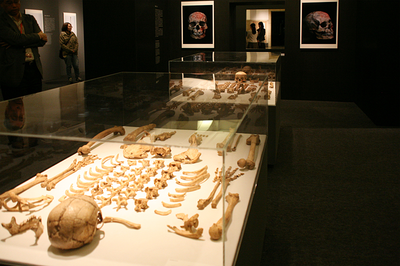 縄文人展 芸術と科学の融合