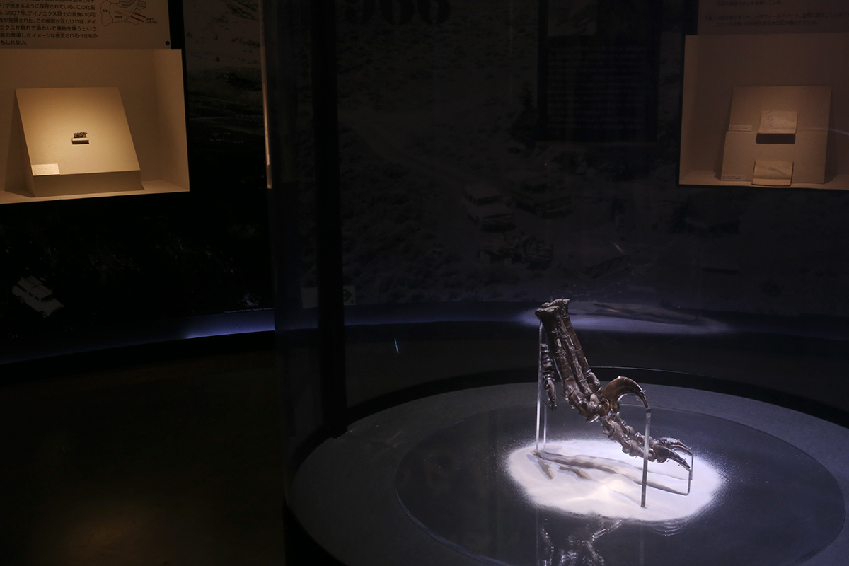 特別展 「恐竜博 2019」