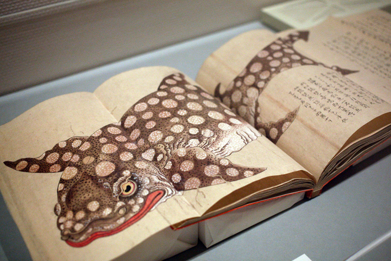 大野麥風展 「大日本魚類画集」と博物画に見る魚たち