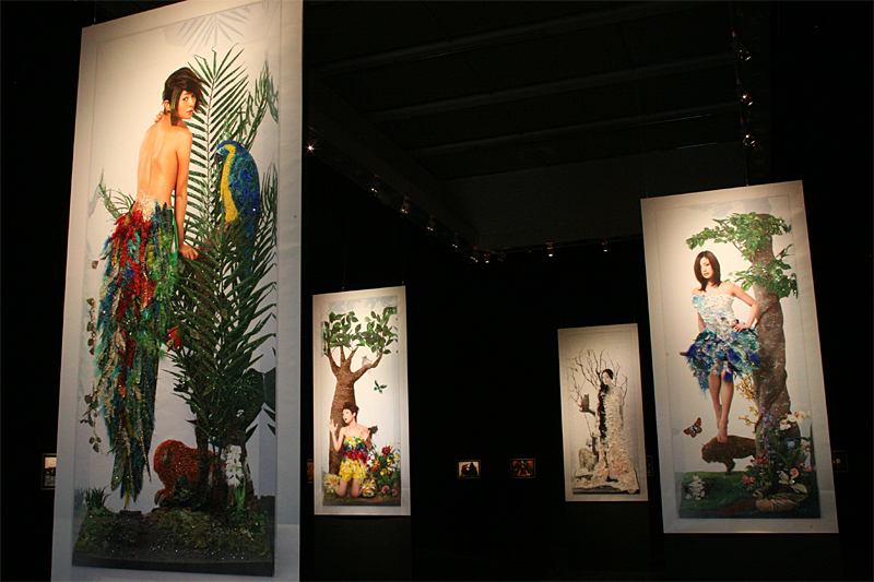 清川あさみ｜美女採集