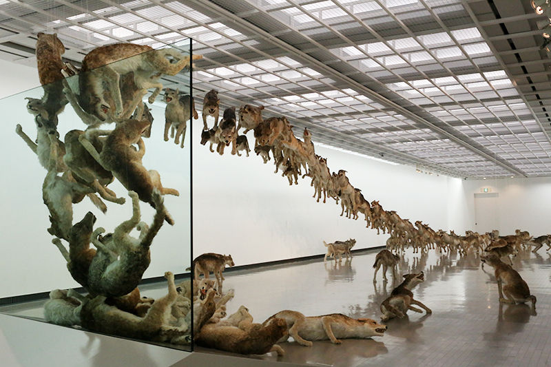 蔡國強展：帰去来