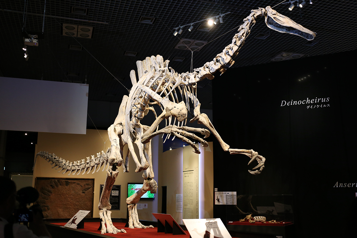 特別展 「恐竜博 2019」