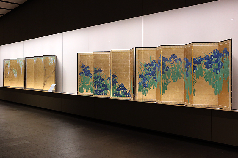 特別展 燕子花図と藤花図　光琳、応挙 美を競う