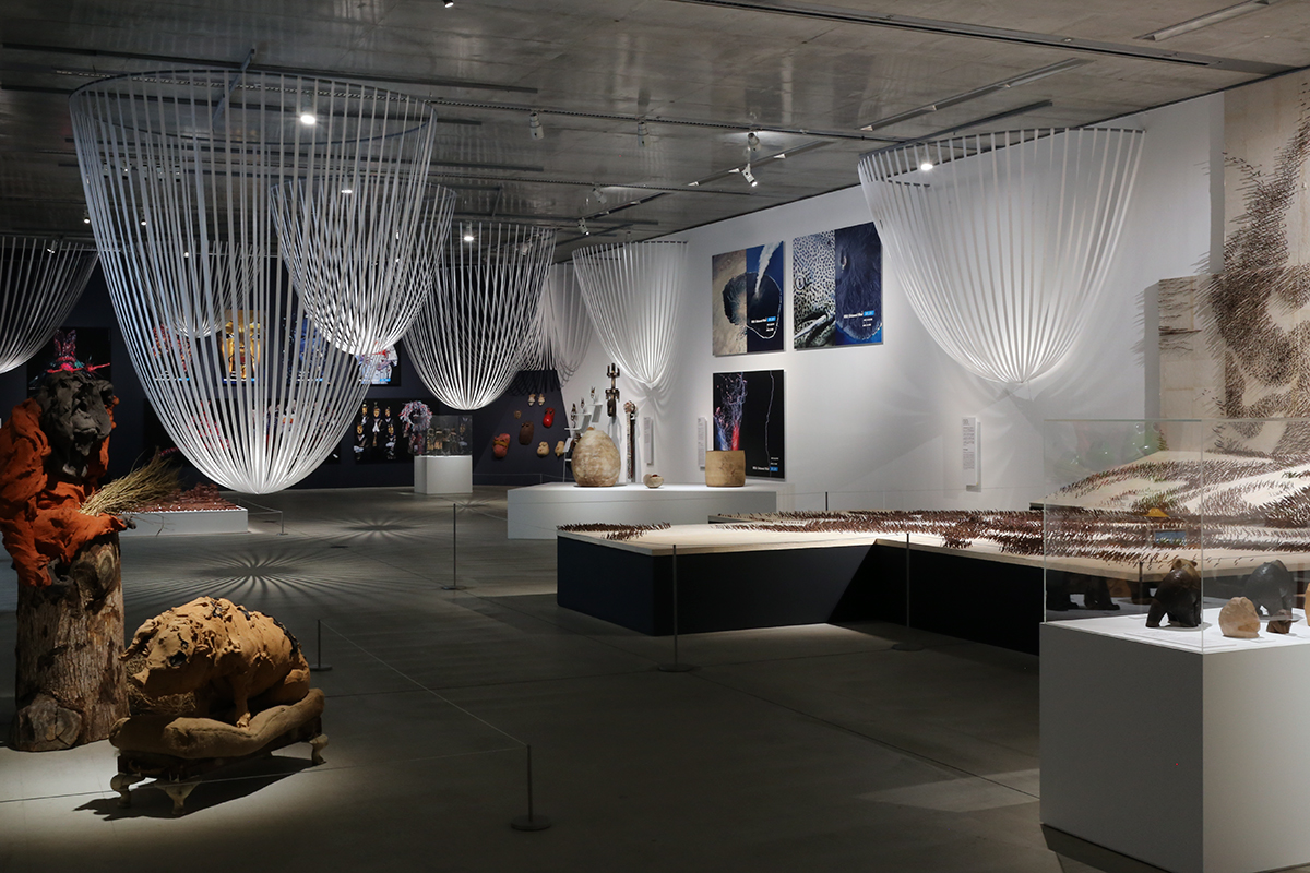 野生展：飼いならされない感覚と思考