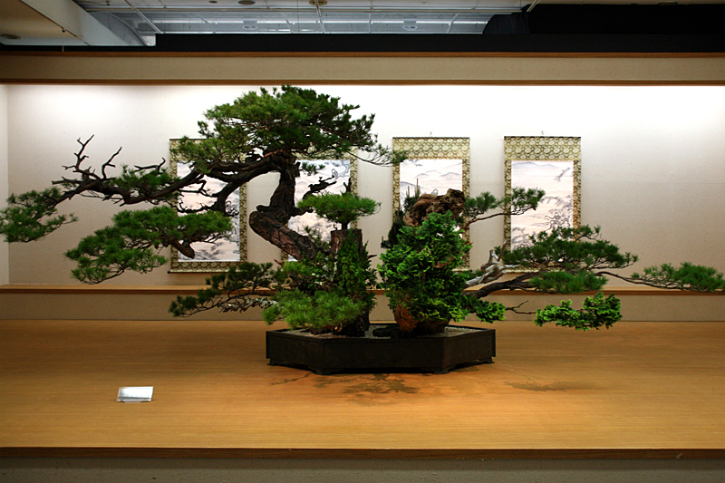 いけばな池坊550年祭記念特別展