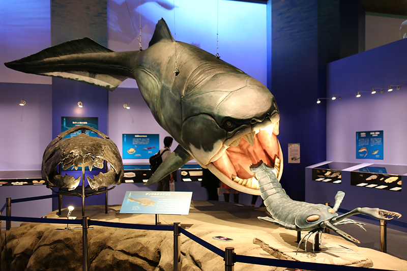 特別展 生命大躍進